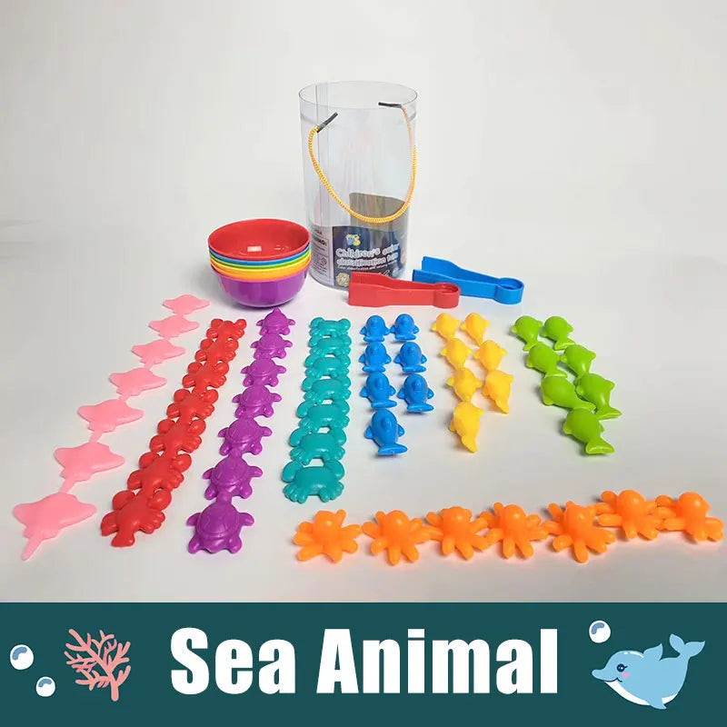 Set Sensorial de Clasificación